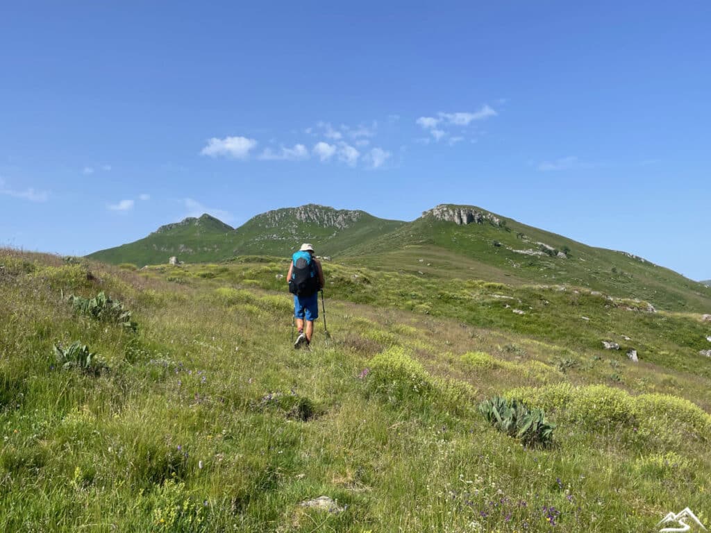 Mika sur le sentier pour Puy de Peyre Arse
