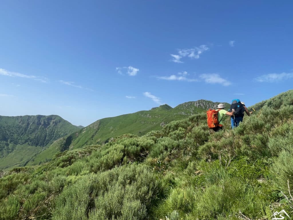 John et Mika dans la végétation pour aller au Puy de Peyre Arse